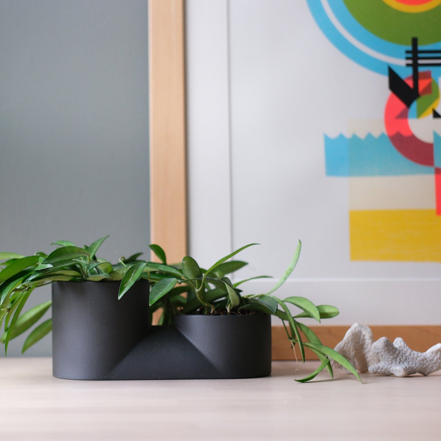 Double Planter