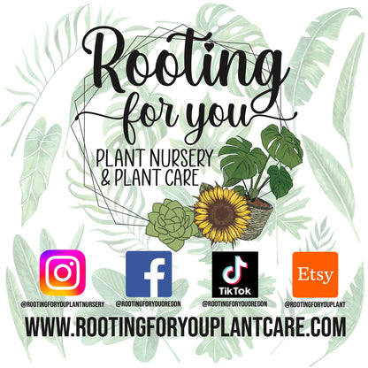 Plant Care Gift Set – 4 Essential Care Items for Plant Lovers – Perfect for Houseplants, Gardeners, & Green Thumbs